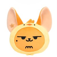 PPULBATU快閃 抱枕 HWANG CHOON