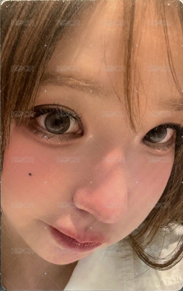 迷三 wvs 1.0 簽售卡 懟臉塔 正面