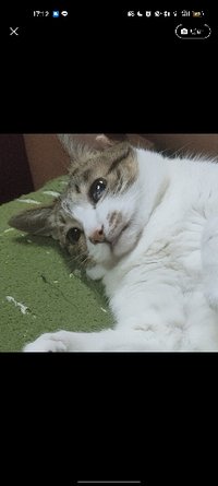 ☆♡歪踢♡☆