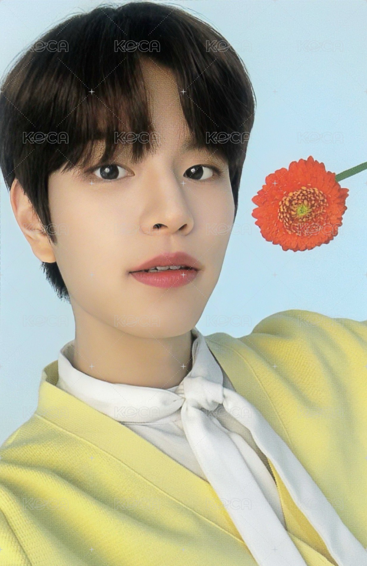 NACIFIC 代言卡 10.0 正面