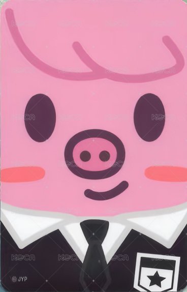 1st 日本巨蛋巡迴 周邊卡 卡套 背面