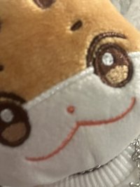 想養貓 ૮₍ •ᴗ•₎ა