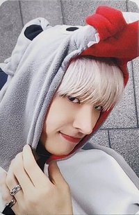 GH1 ms 6.0 簽售卡 Wolf ver.