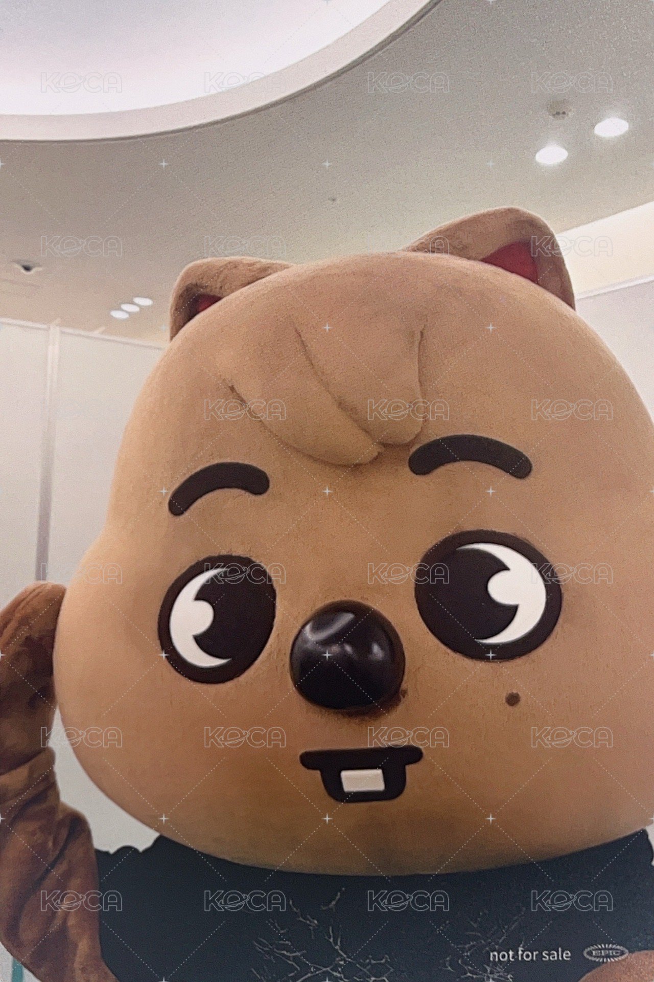 Hollow 塔店 特典卡 靜岡線上限定 背面