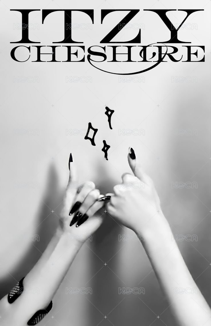 CHESHIRE 專輯卡 雙人卡 背面