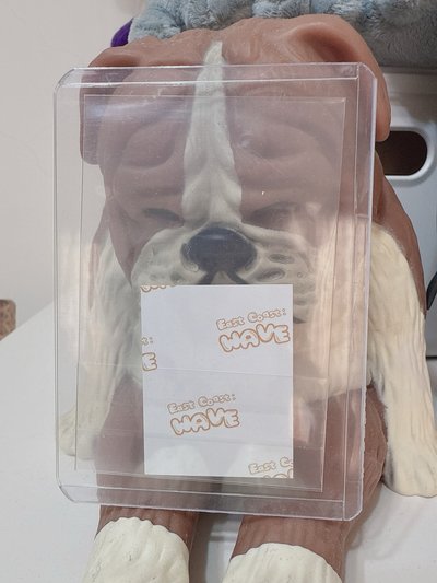 SJ 東海 2025 桃園 FANCON 證件照