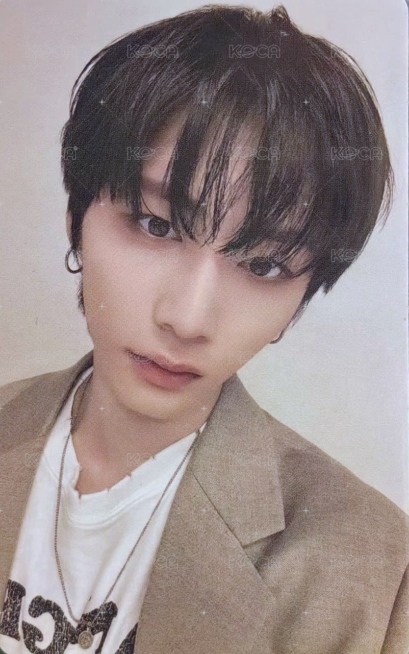 19.99 wvs 單封 特典卡  正面