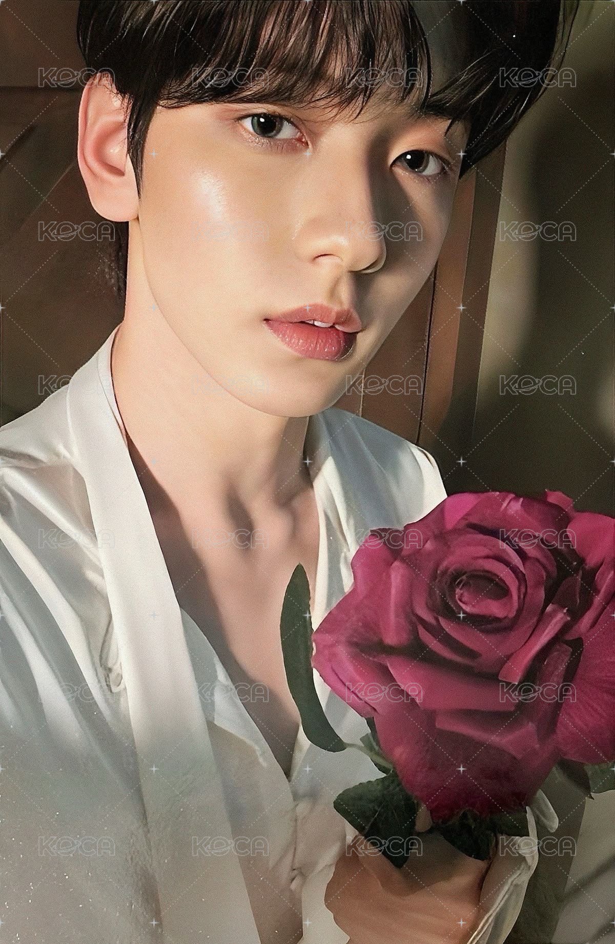 迷六 專輯卡 Romantic版 正面