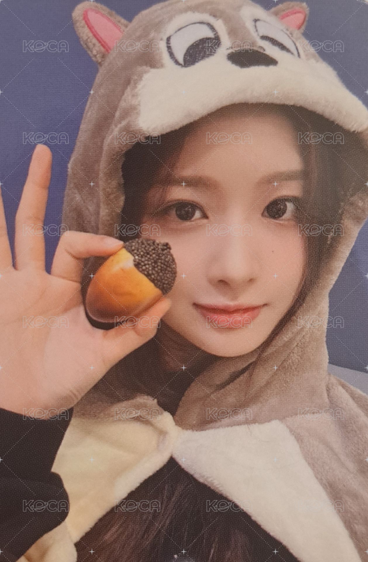 仲夏夜 ms 2.0 幸運卡 松鼠薛 正面