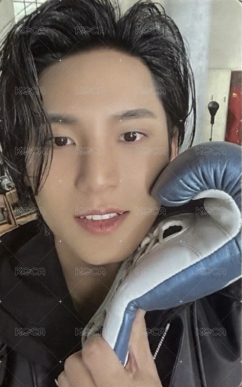 MINI10 專輯卡 WVS電子專ver. 正面