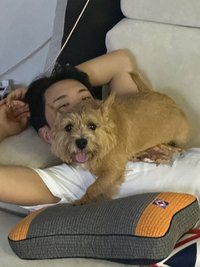 烏冬