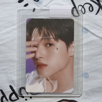 NACIFIC 背面塔羅牌風