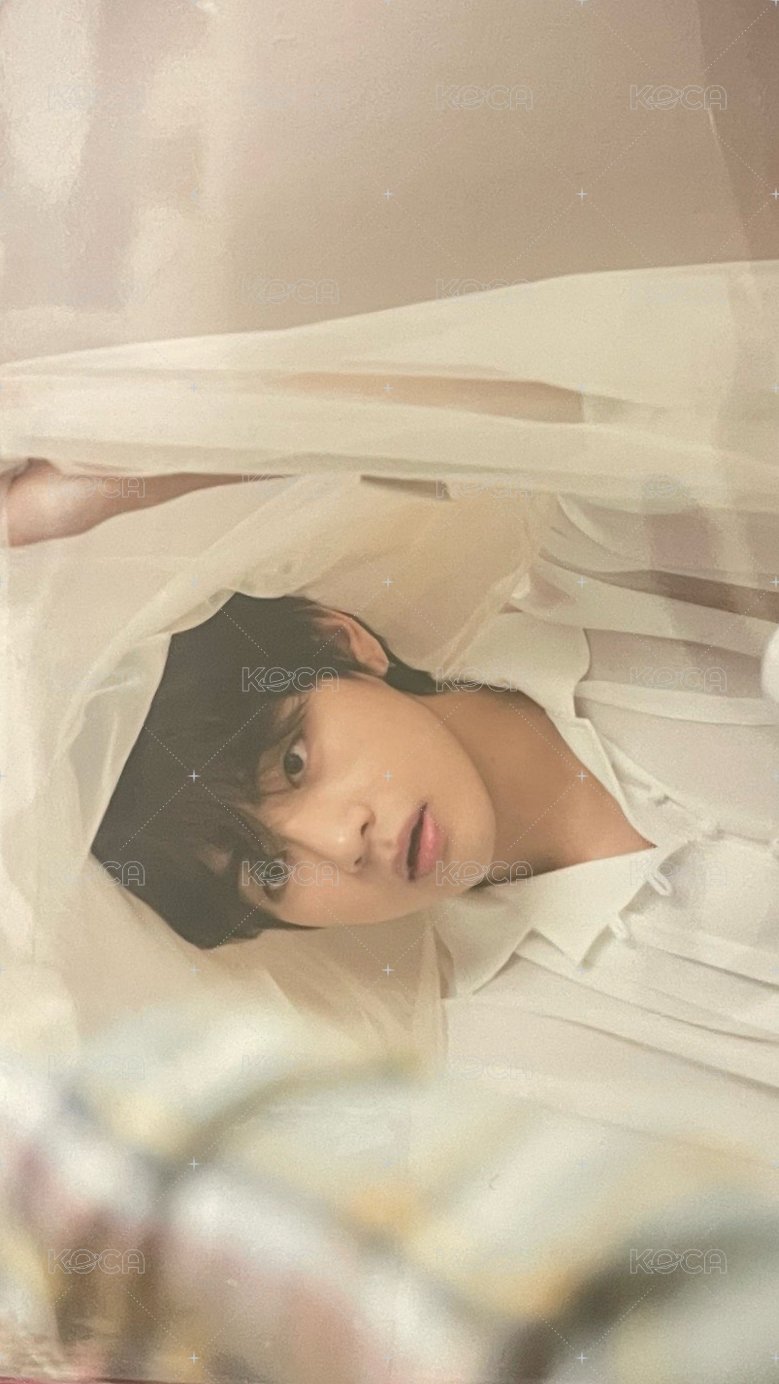 Hybe博物館 生寫真 今日展生寫真 正面