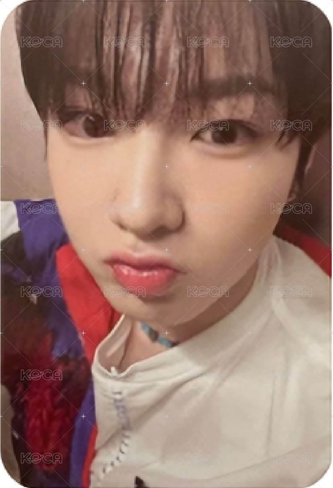 Songbird 專輯卡 Nct Wish Sakuya  Smini版 專卡 正面