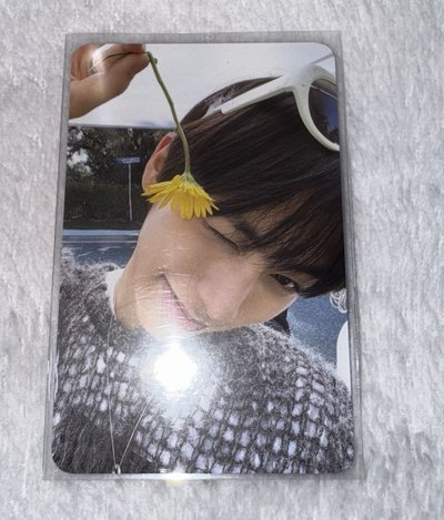 小黃花 wvs出道抽選/中籤 泰山