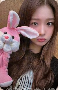 仲夏夜 el 4.0 幸運卡 兔子玩偶