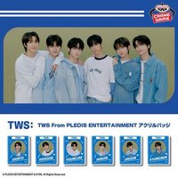 萬代 夾娃娃機 徽章