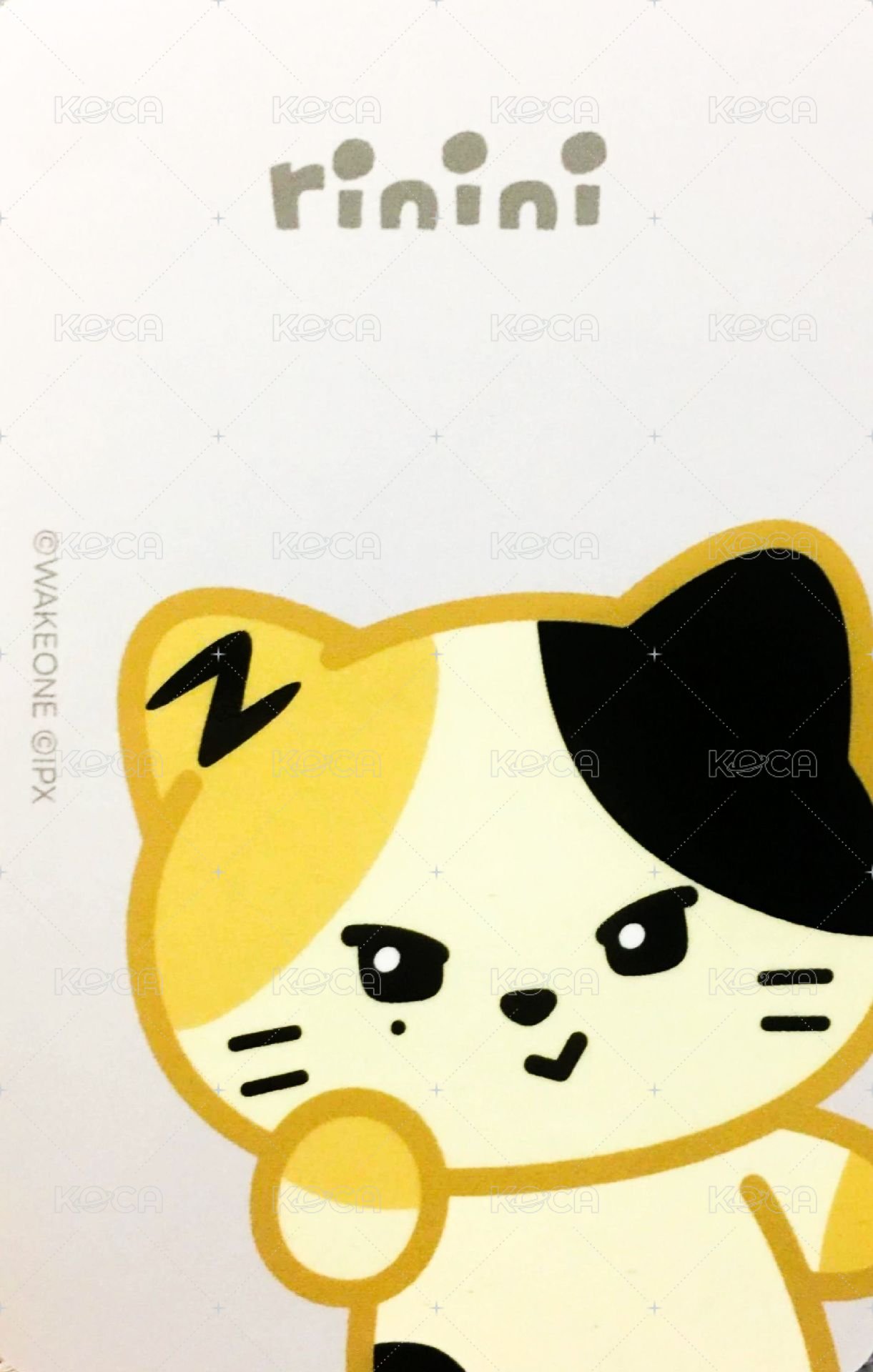 迷三快閃 周邊卡 卡套卡 背面