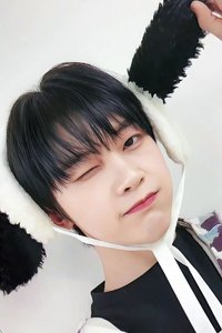 迷五 ms 幸運卡 小狗 ver.