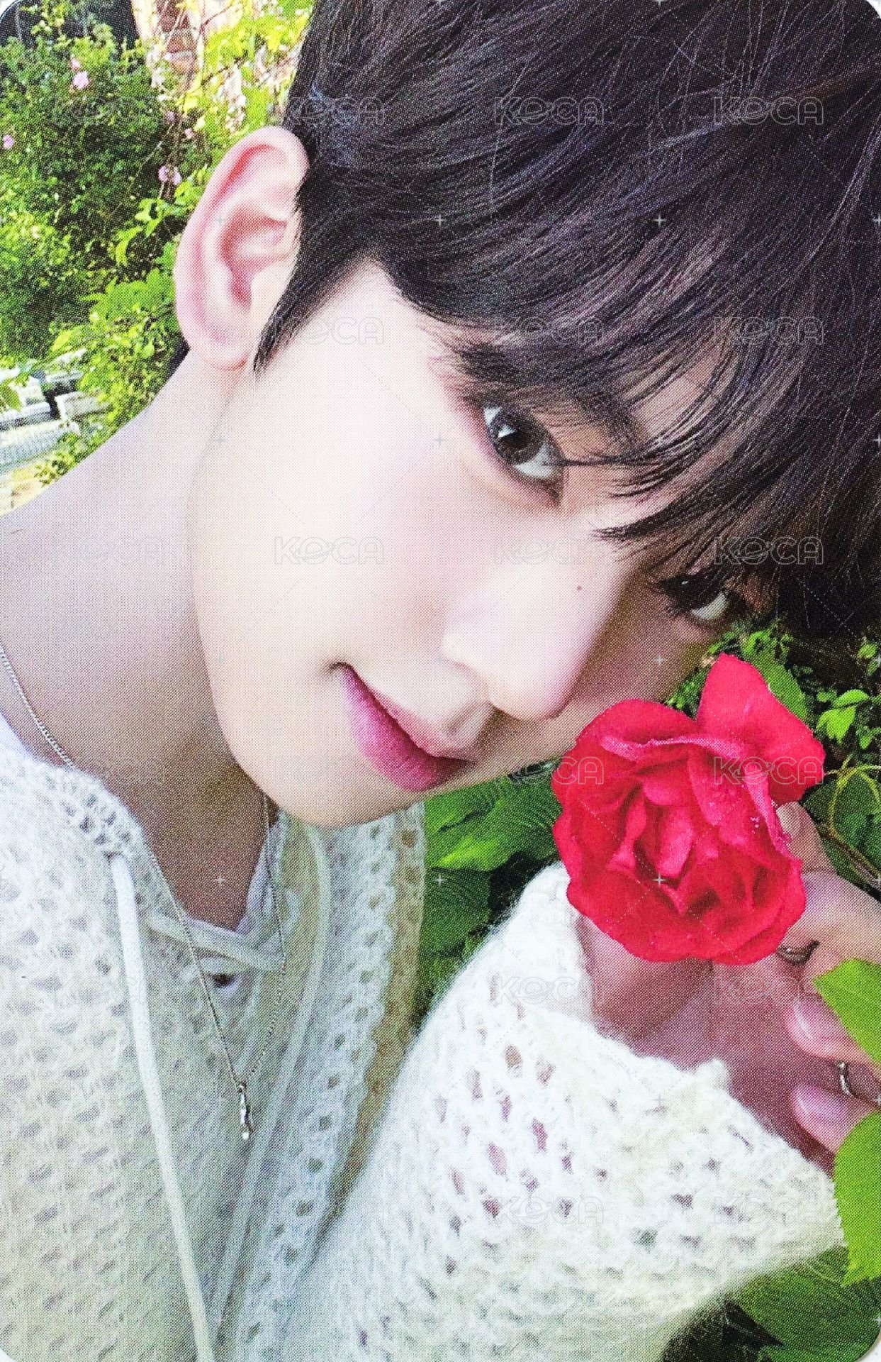 迷一 專輯卡 SHADE ver. 正面