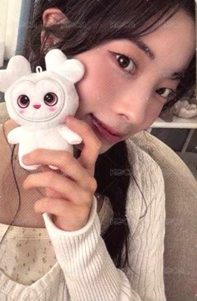 五期會員 會員禮卡  正面