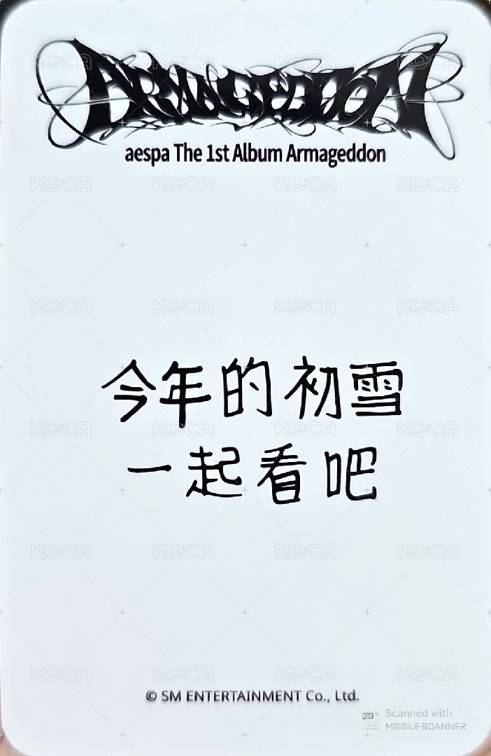 正規一 sr 特典卡 星河預售E冬 背面