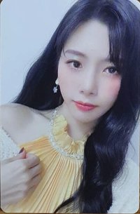 2022SG掛曆 年曆卡 