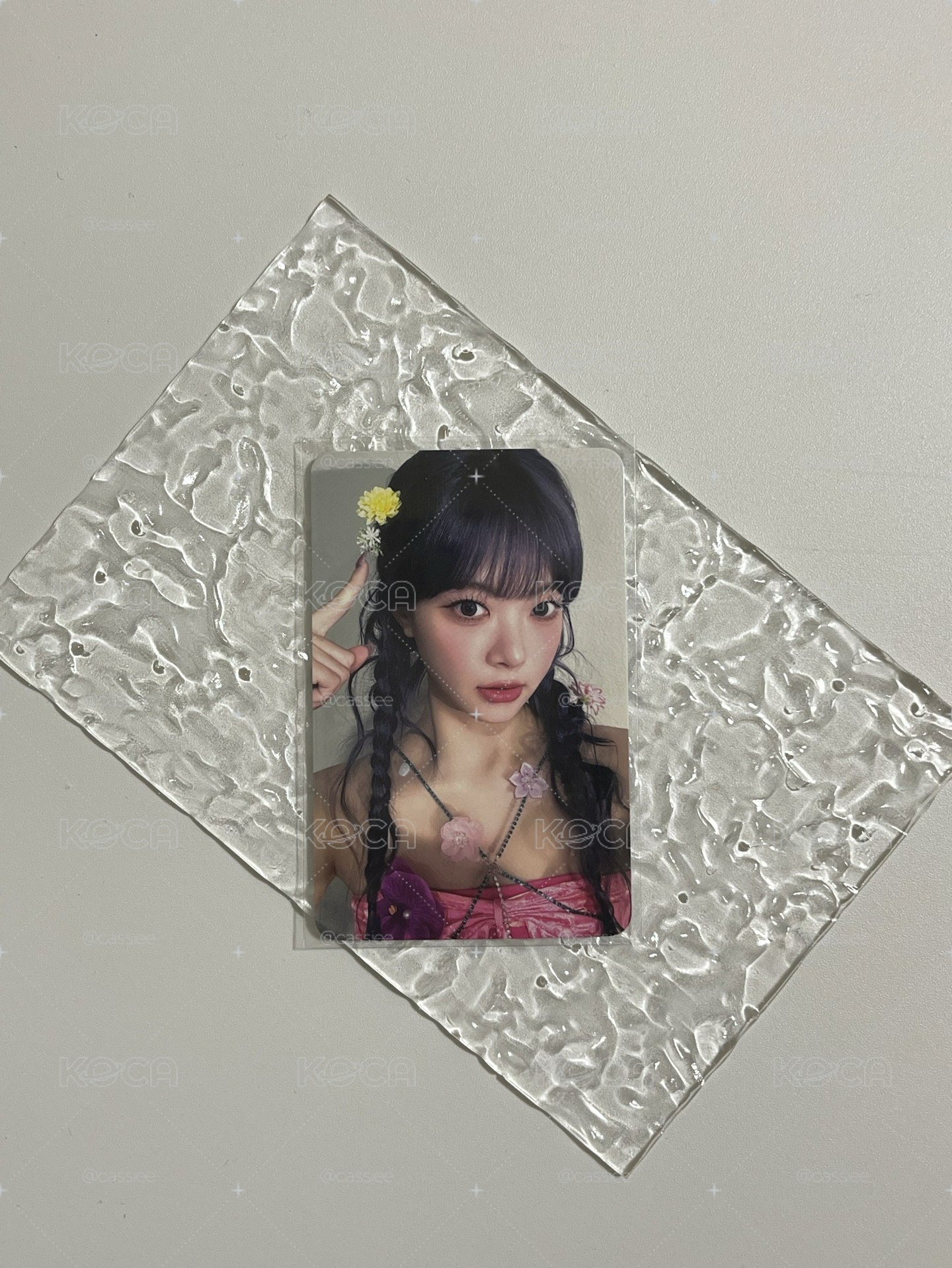 洪恩採easy蝦皮3.0