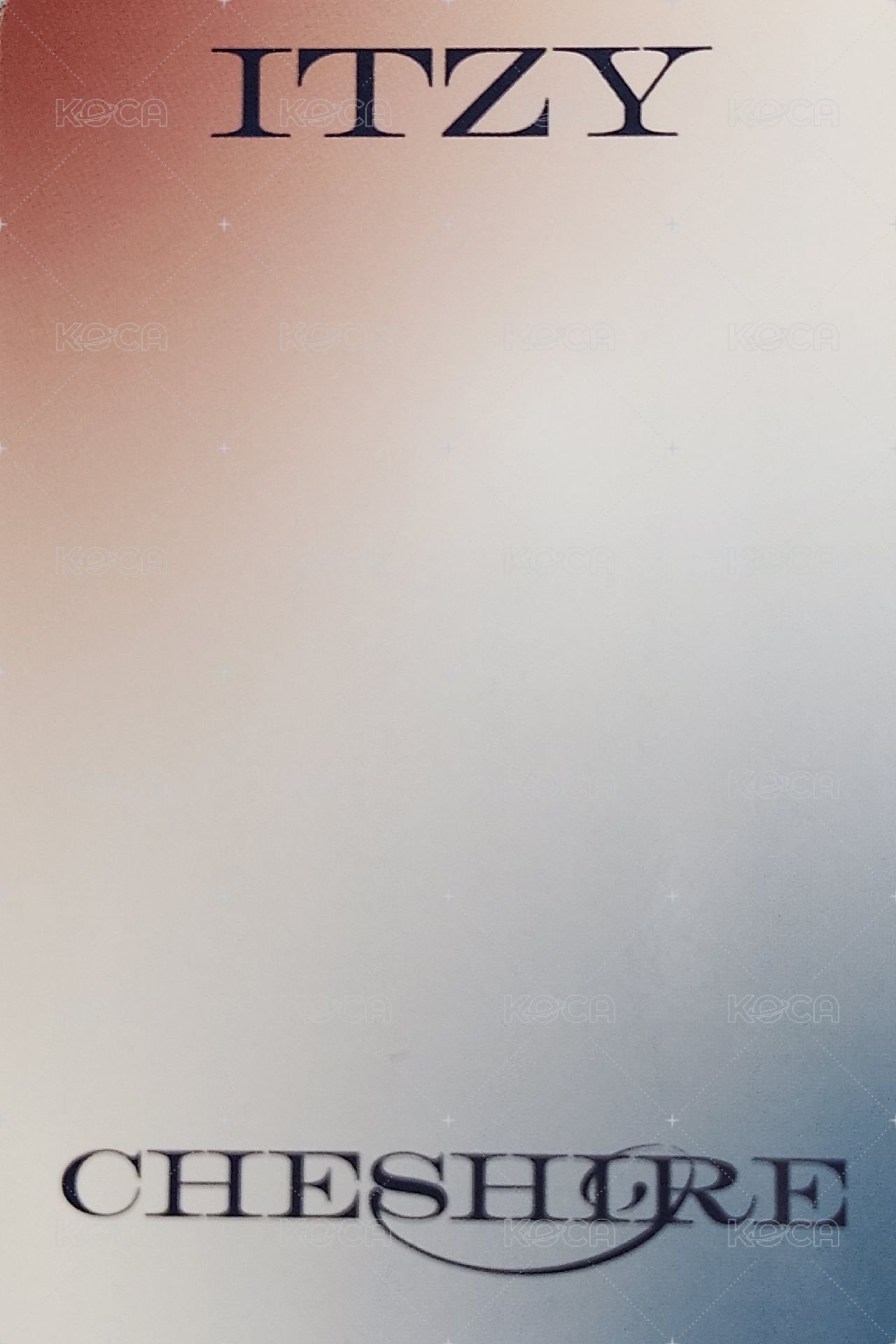 CHESHIRE sw 5.0 簽售卡  背面