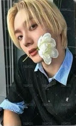 The Action wvs 特典卡  正面