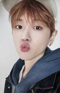 Knock On 巡迴 隨機卡 自拍 2