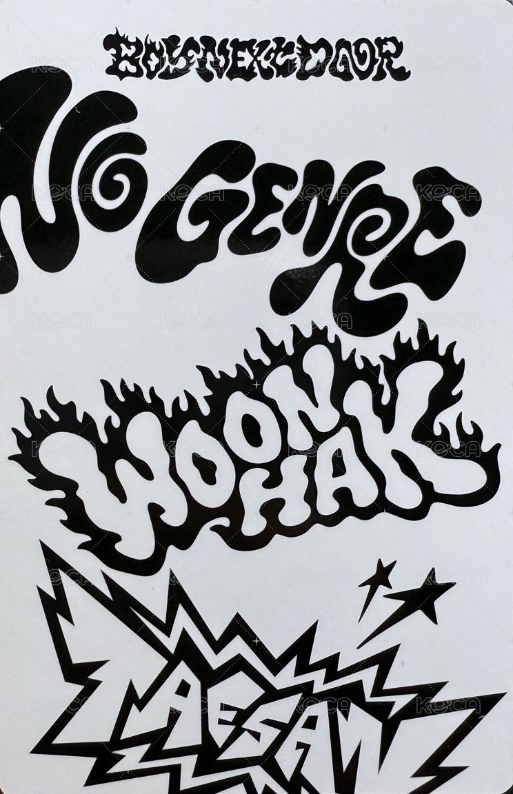 No Genre 專輯卡 雙人卡 46 背面