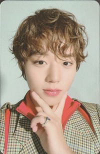 My Collection 專輯卡 (REALISM ver.)