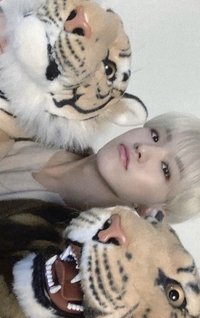 20‘年曆 年曆卡 