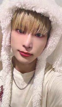 雪明 日咖 特典卡 動物卡