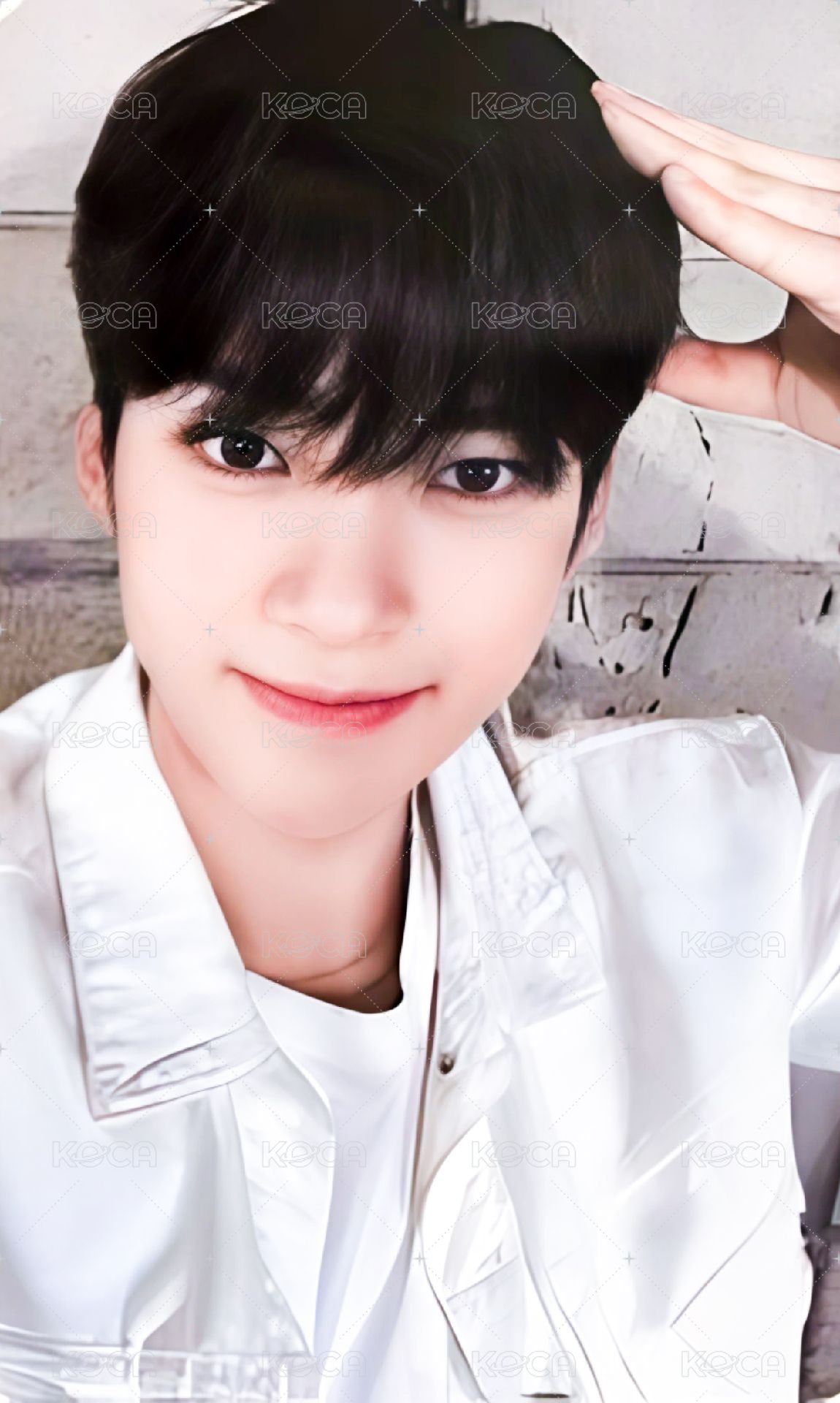 迷一 wm 幸運卡 狗耳 ver. 正面