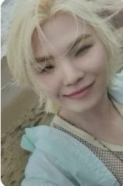 MINI12   墨西哥快閃店 特典卡 