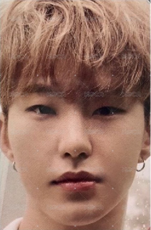 21‘DICON 雜誌卡  正面