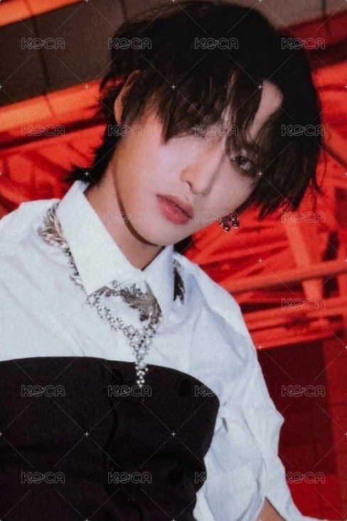 WILL 專輯卡 Platform ver. QR 正面