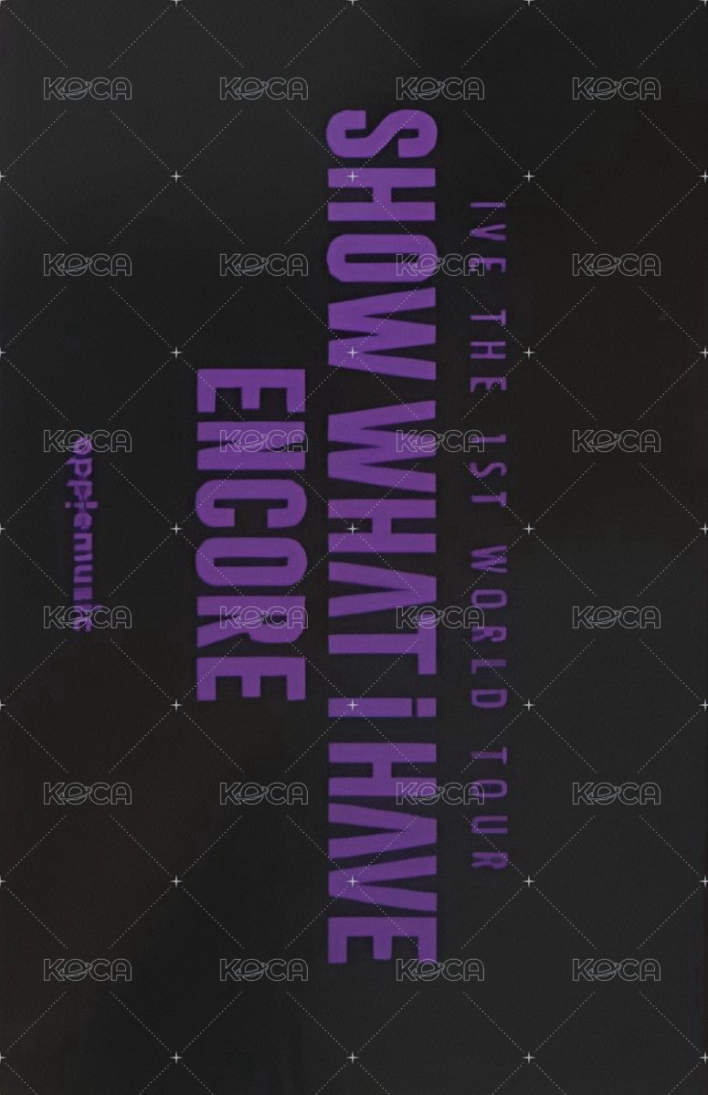 SHOW WHAT I HAVE am 特典卡 ENCORE DVD / KIT 背面