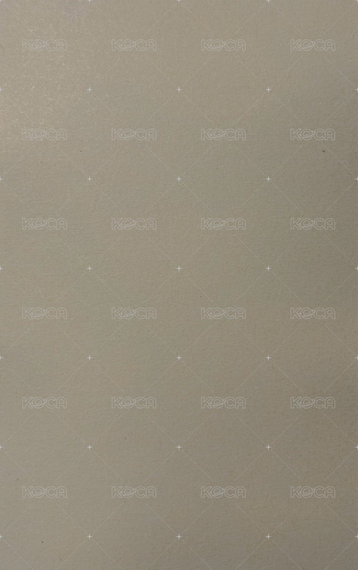 FEARLESS JP hmv 特典卡 貼紙 背面