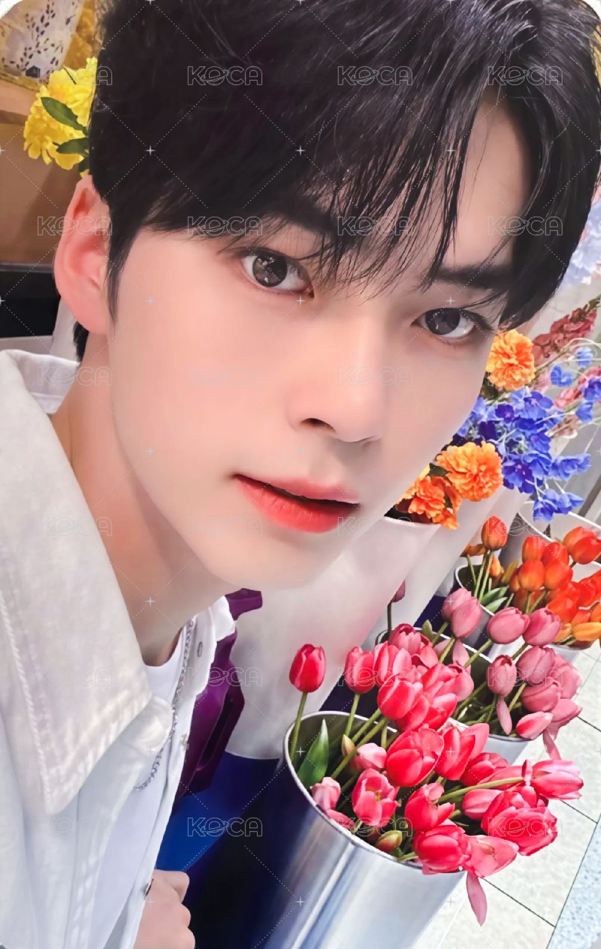 迷一 oy 特典卡  正面