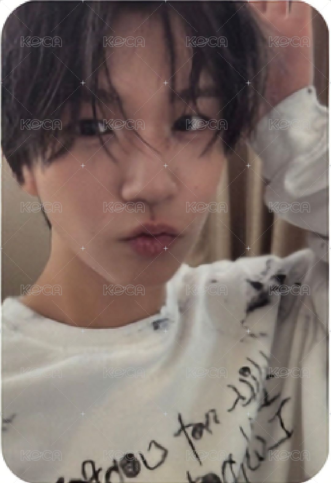 Steady 專輯卡 Nct Wish Jaehee  白版 專卡 正面