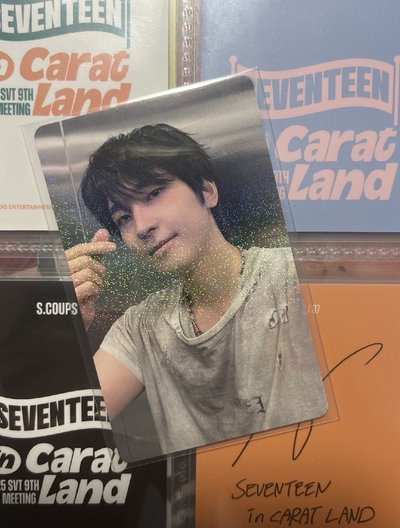 正規五wvsjp圓燦