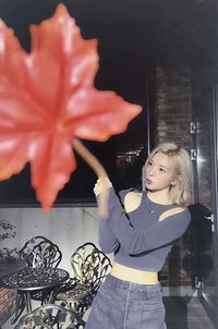 STICK OUT mmt 4.0 簽售卡 楓葉