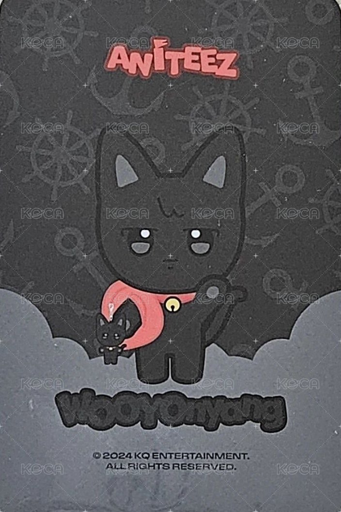 ANITEEZ IN ILLUSION 周邊卡 PLUSH KEYRING 背面