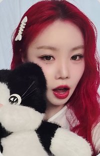 BADITUDE hl 1.0線上 簽售卡 小貓