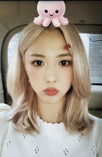 特別二輯(夏日專) 專輯卡 