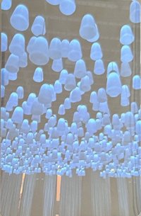 正規一 專輯卡 藍版電子專