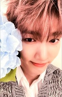 迷三 k4 特典卡 花 ver.